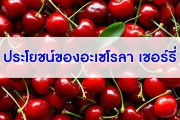 ประโยชน์ของอะเซโรลา-เชอร์รี่