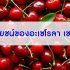 ประโยชน์ของอะเซโรลา-เชอร์รี่