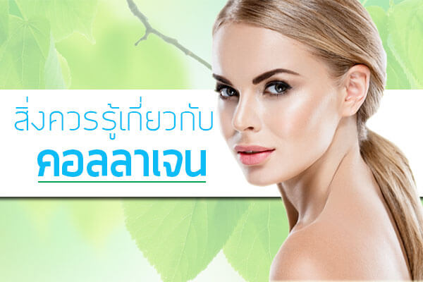 เพิ่มเรื่องใหม่ ‹ อาหารเสริม คอลลาเจน วิตามินซี รับสมัครตัวแทนจำหน่ายทั่วประเทศ — WordPress.htm